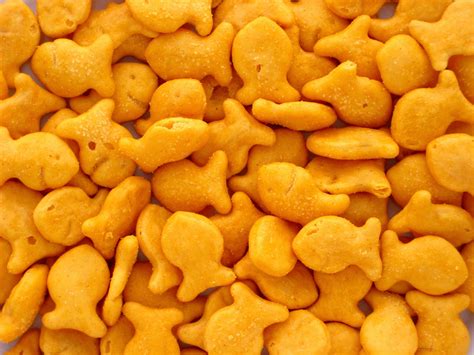 03_Goldfish-Crackers_WHG