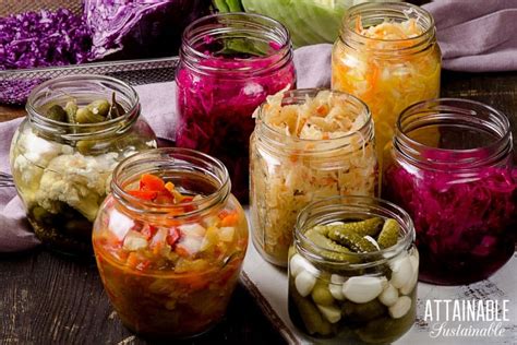 Fermented Foods Recipes: 50+ to Get You Started