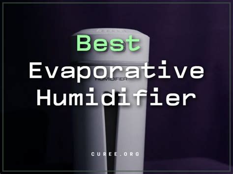 20 Best Evaporative Humidifier of 2024 - Aircare Space Saver