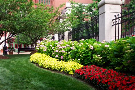 Best Commercial Landscaping Maintenance in St. Louis