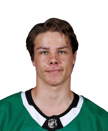 Miro Heiskanen NHL Stats - Season & Career Statistics | FOX Sports