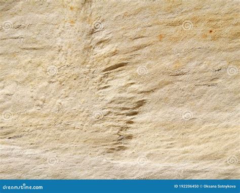 Natural Sandy Background stock photo. Image of sandstone - 192206450