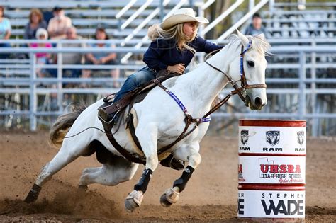 Rodeo Horse Barrel - Free photo on Pixabay