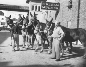 Our Story - Fort Worth Stockyards