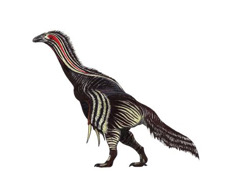 Therizinosaurus reconstruction mostly based on Nothronychus : r/Dinosaurs