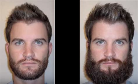 time lapse progression | Beard growth stages, Beard growth, Beard ...