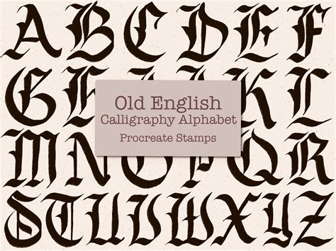 Procreate Stamps Old English Calligraphy Letters, Antique Calligraphy Style Alphabet Procreate ...