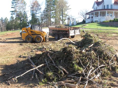 Tree Removal and Installation – Beck’s Ornamental & Turf Management, Inc.