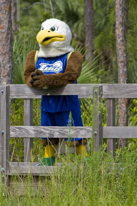 FGCU Mascot Azul the Eagle | FGCU | University Marketing & Communications | Flickr