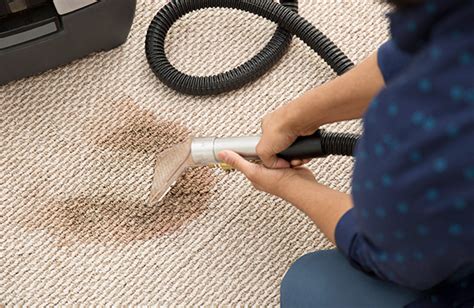 Know All About Steam Carpet Cleaning - Iamtreatmentalliance