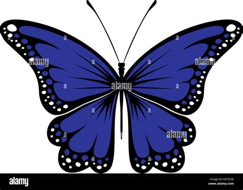 butterfly design isolated on white background in vector format very ...