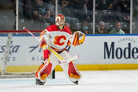 Flames Have Some Great Goalie Storylines to Follow This Season - The ...