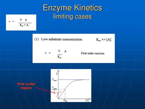 PPT - Enzyme Kinetics PowerPoint Presentation, free download - ID:196477