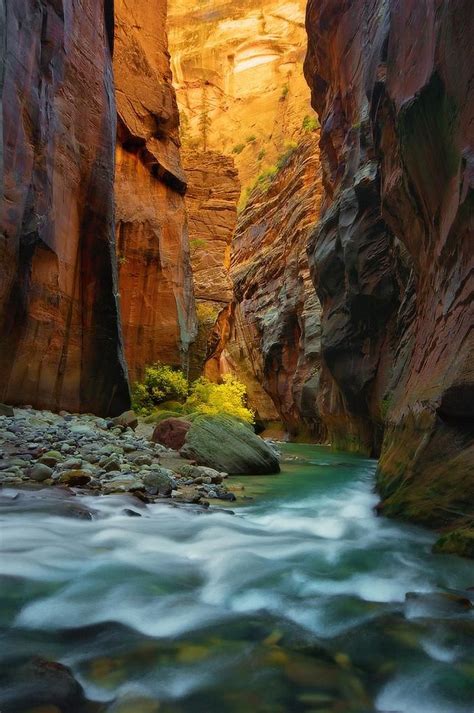 Virgin River Narrows in Zion. | Places to travel, National parks ...