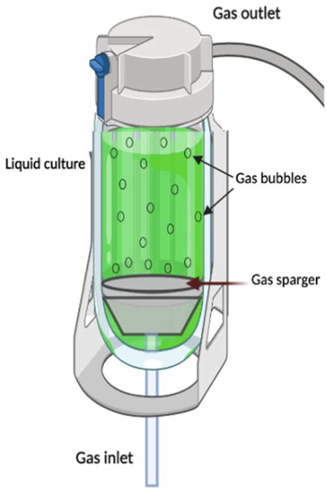 Plants | Free Full-Text | Engineering Considerations to Produce Bioactive Compounds from Plant ...