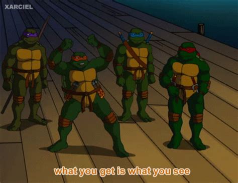 Tmnt 2003 GIF - Tmnt 2003 Ninja Turtles - Descubre y comparte GIF