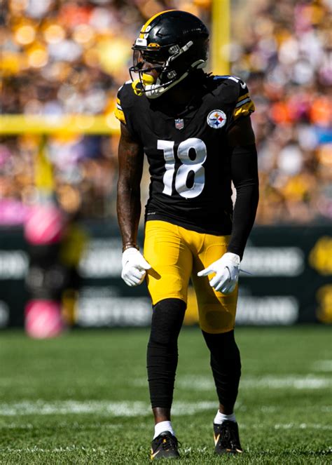 Diontae Johnson Stats, Profile, Bio, Analysis and More | Pittsburgh Steelers | The Sports Forecaster