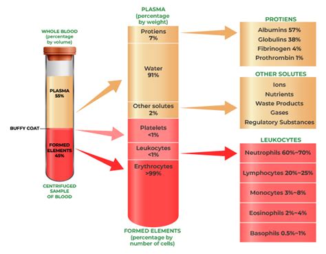 Composition of Blood-RBCs, WBCs, Plasma and Formed Elements