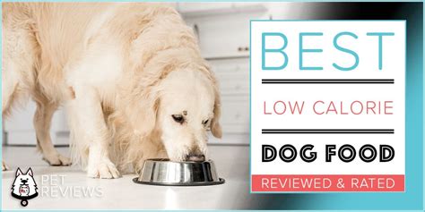 10 Best Diet (Low Calorie) Dog Foods For Weight Loss & Control