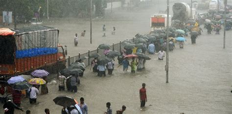 Mumbai floods: what happens when cities sacrifice ecology for development