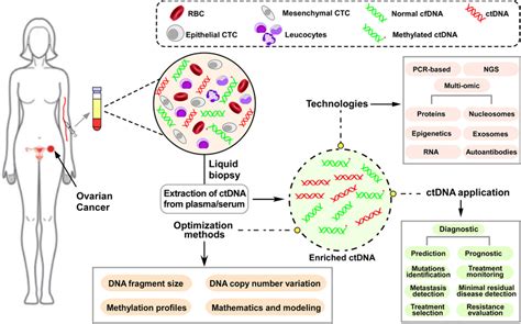 ctDNA analysis technologies, application and optimization methods in... | Download Scientific ...