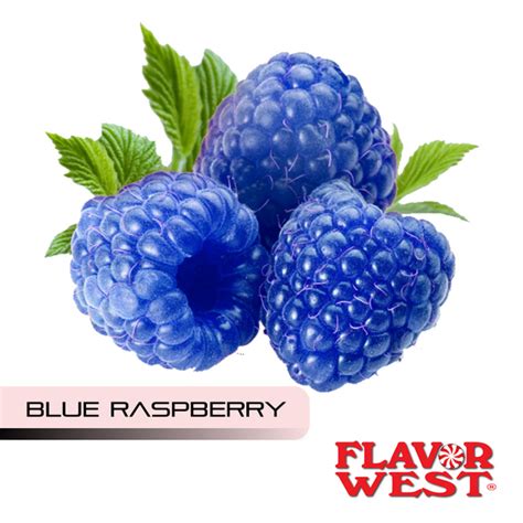 Blue Raspberry Flavour by Flavor West – Fusion Flavours