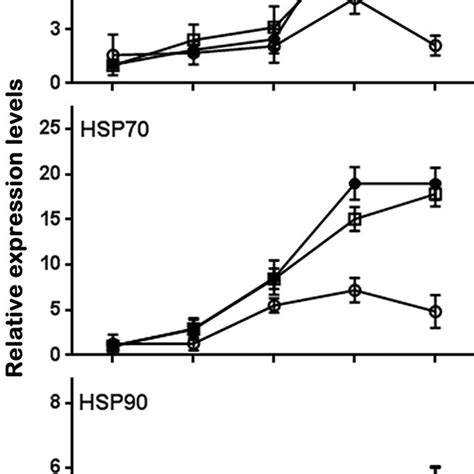 Relative expression levels of hsp17.4, hsp70, and hsp90 during heat... | Download Scientific Diagram