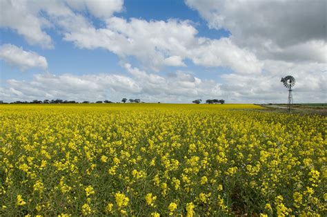 Chemical residues in crops | Agriculture and Food