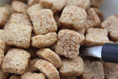 Apple Cinnamon Toast Crunch Cereal REVIEW! | Cerealously