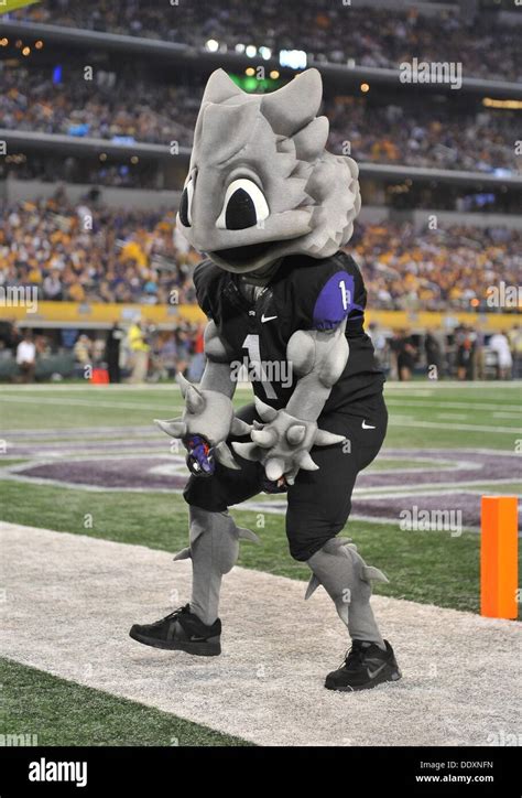 Aug. 31,2013:.TCU Horned Frog mascot in action.in a NCAA football Stock Photo: 60209289 - Alamy