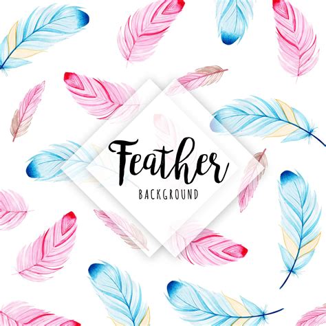 Premium Vector | Watercolor Feathers Backgrounds