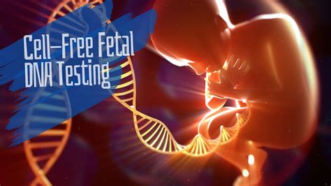 Cell-Free DNA 102: What is a Cell-Free Fetal DNA Test? How Is It Beneficial?