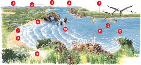 Coastal Landforms Diagram | Quizlet