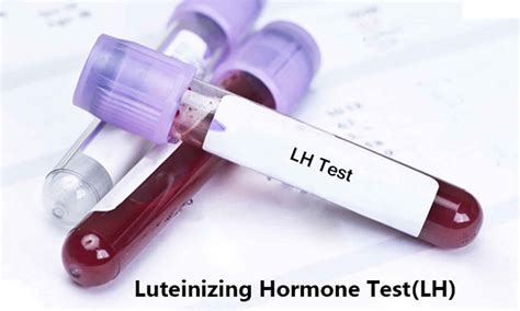 Luteinizing hormone function, luteinizing hormone test and normal range