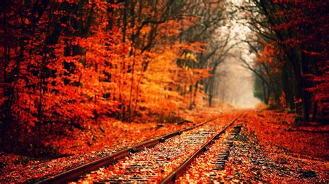 Fall Desktop Wallpapers - Top Free Fall Desktop Backgrounds ...