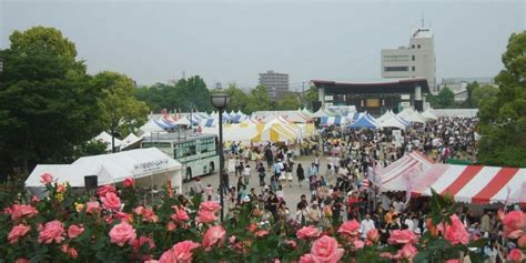 Fukuyama Rose Festival 2025 - May Events in Hiroshima - Japan Travel