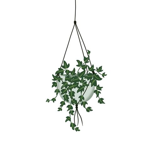 Hanging Plants PNG Image, Hanging Plants, Plant, Hanging, Green PNG Image For Free Download