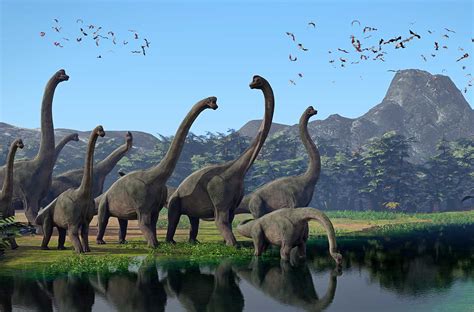 Huge Dinosaur Had A Neck Eight Times as Long As A Giraffe's » Explorersweb