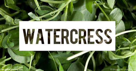 What Is Watercress Good For? - Mercola.com