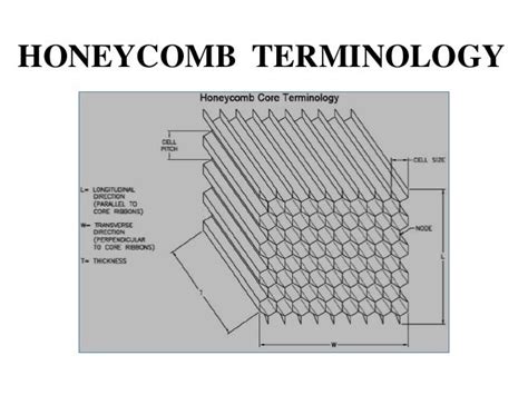 FEA AND EXPERIMENTAL QUASI-STATIC CRUSHING OF ALUMINIUM HONEYCOMB ST…