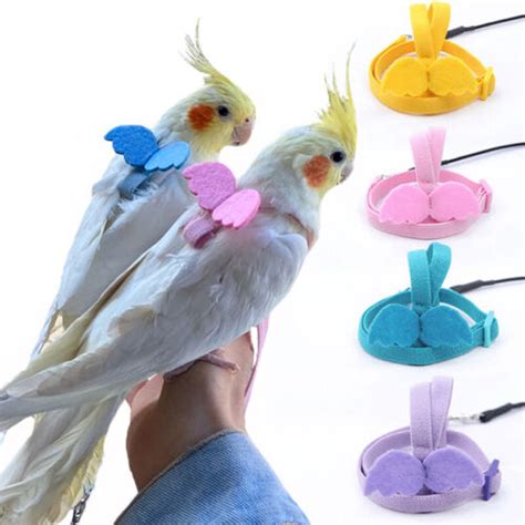 【サイズ】 Cockatiel Harness and Leash Adjustable Parrot Bird Training Design Anti-Bite Bird Nylon ...