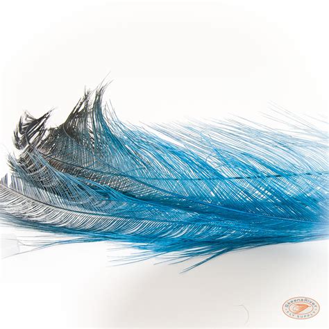 Rhea Feathers | Fly Fishing Plummage | Gear for Fly Fishing