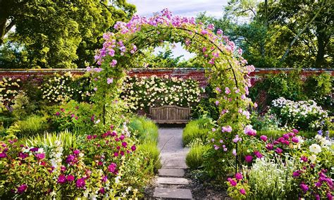 The roses are ready... and these are the best gardens around Britain to go and see them | Daily ...