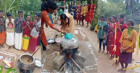 Thai Pongal Festival – Cord Sri Lanka