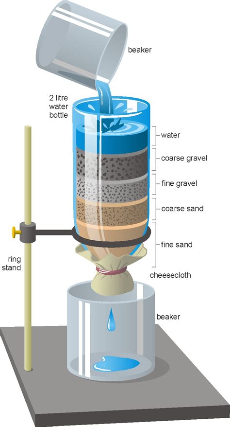 Water Purification - Allie Marx