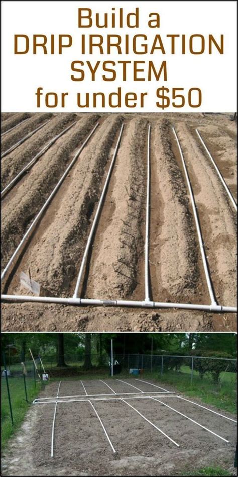 Vegetable Garden Drip Irrigation Diagram