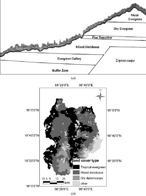 Spatial distribution of forest types in the study area. The vertical... | Download Scientific ...