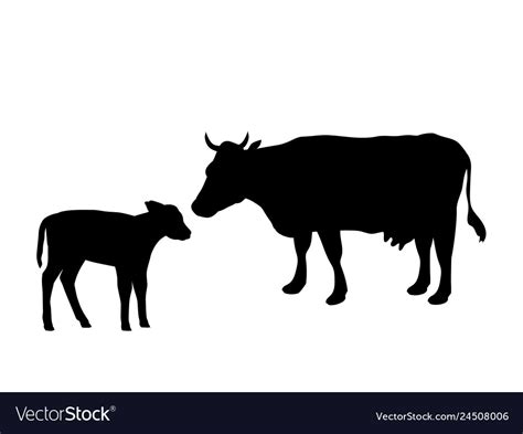 Cow Calf Pair Silhouette - All About Cow Photos