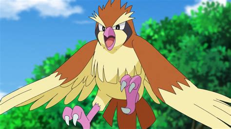 Pokemon BDSP Pidgey Guide: Pokedex, location, moveset, evolution - The Click