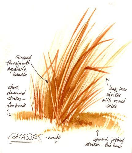 grasses (With images) | Grass painting, Watercolor painting techniques, Watercolor lessons